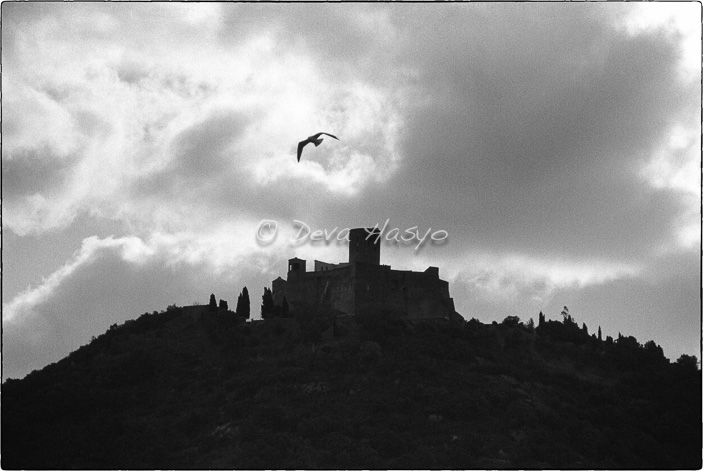 08 COLLIOURE