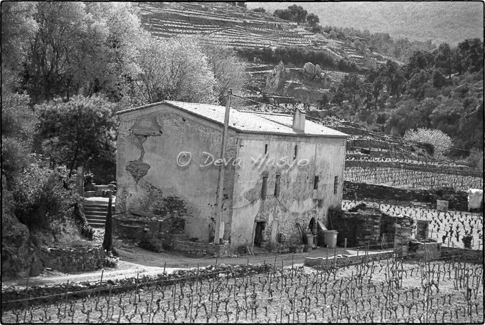 16 COLLIOURE